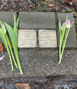 Stolpersteine in Möser